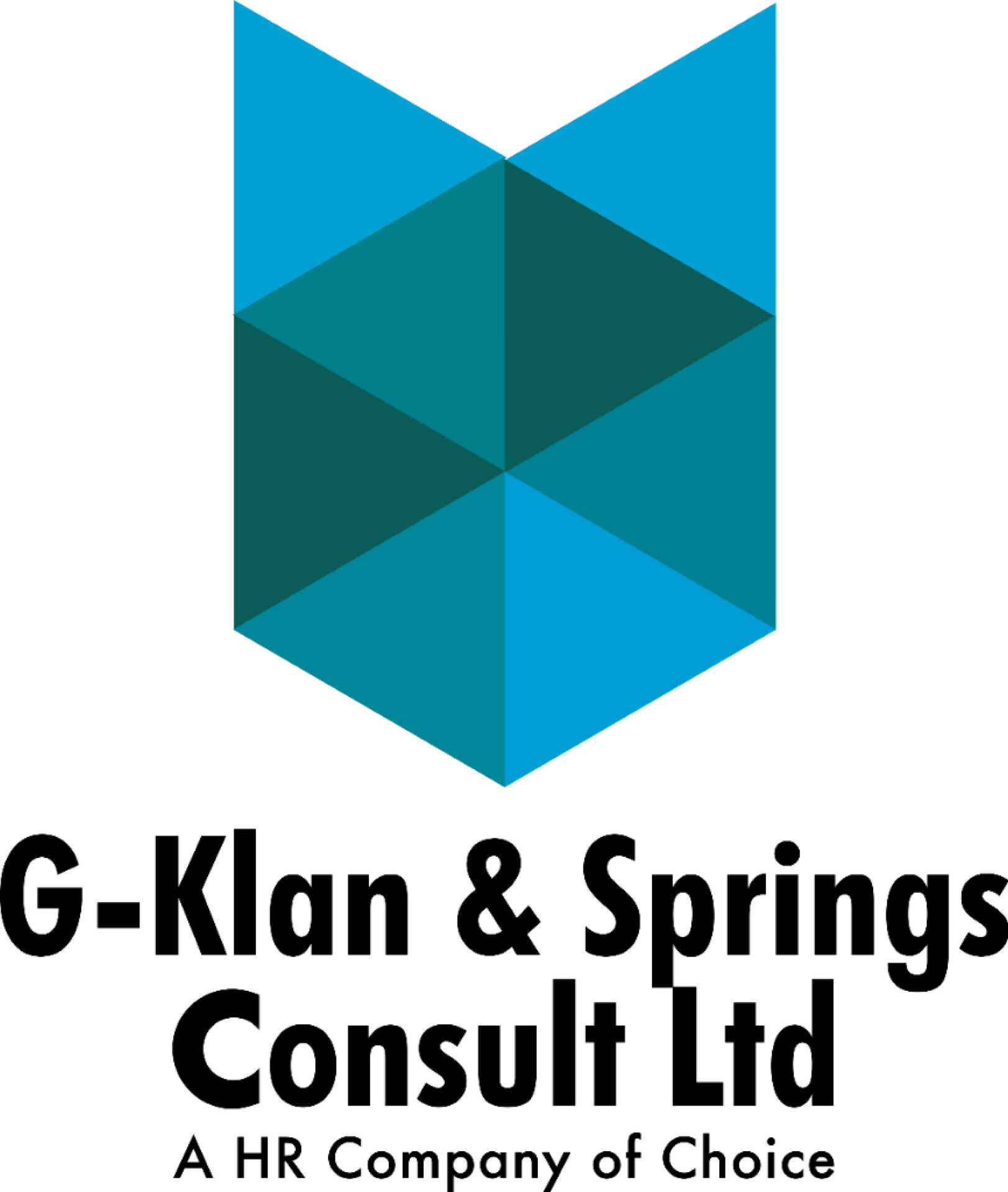 Klan Consult Brand Guide